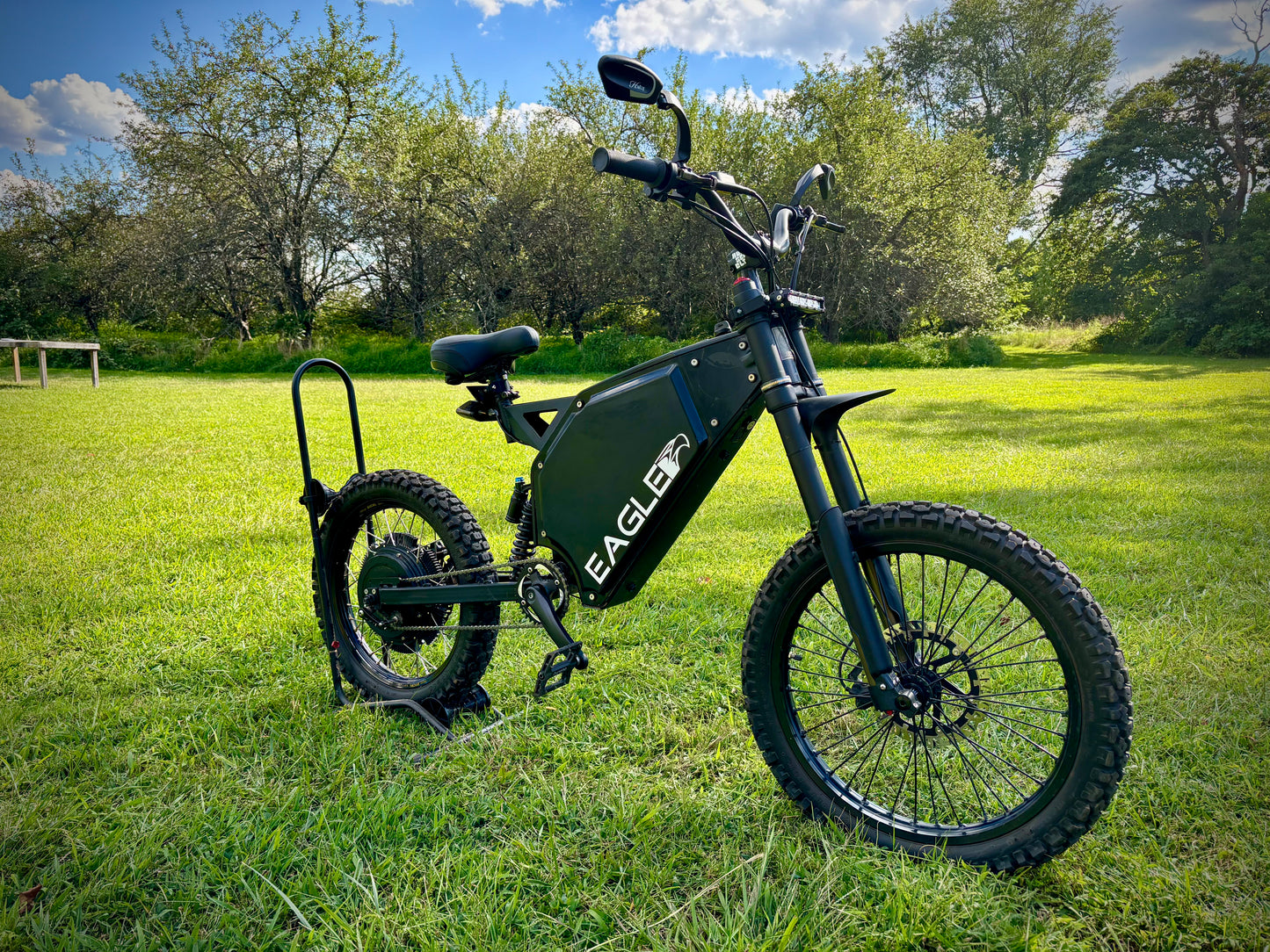 A Unique Demo Model Eagle 1