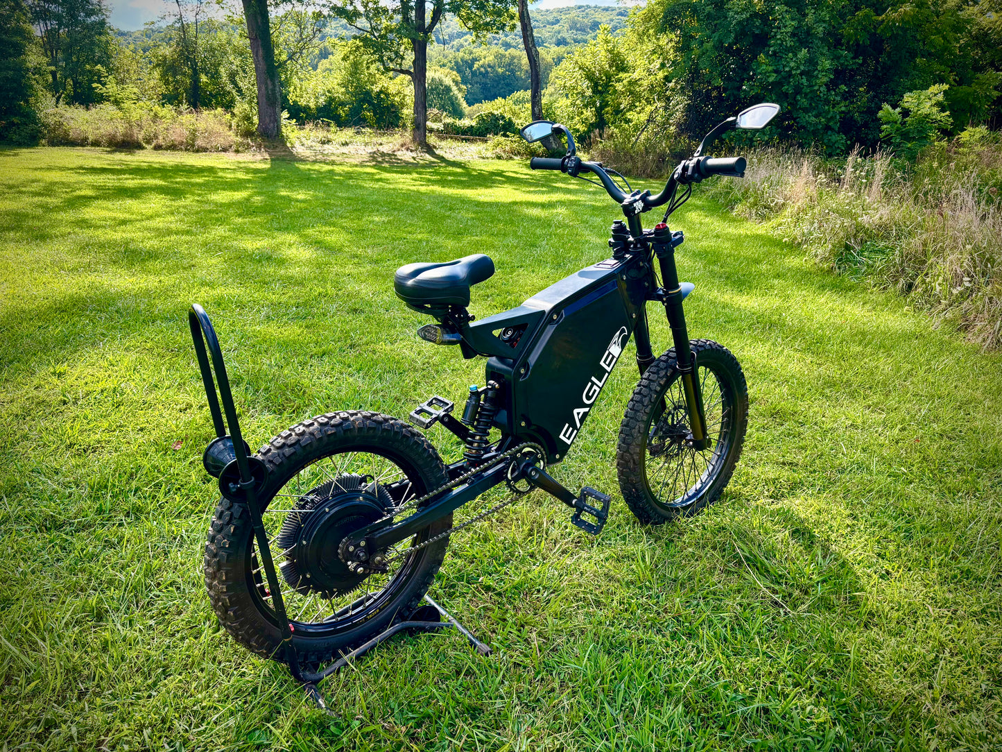 A Unique Demo Model Eagle 1