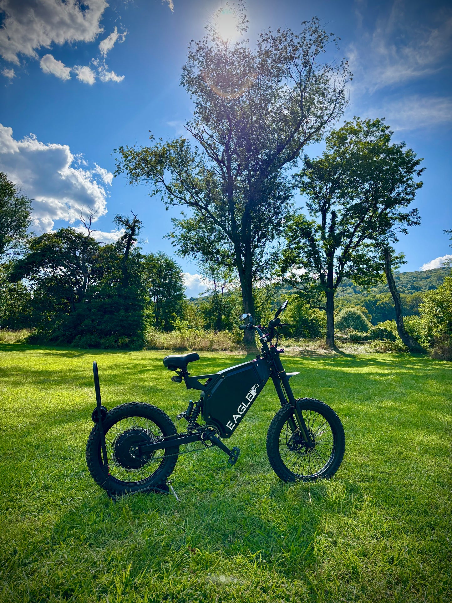 A Unique Demo Model Eagle 1