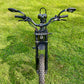 A Unique Demo Model Eagle 1